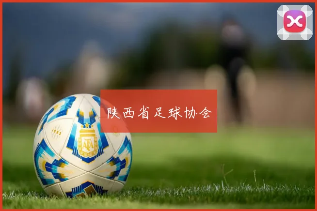 陕西省足球协会