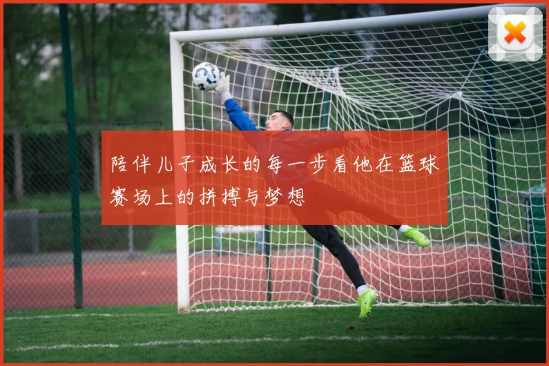 陪伴儿子成长的每一步看他在篮球赛场上的拼搏与梦想